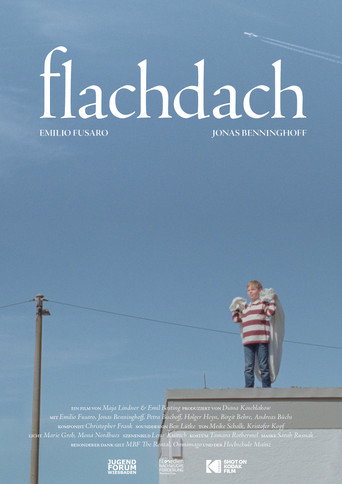Flachdach movie poster