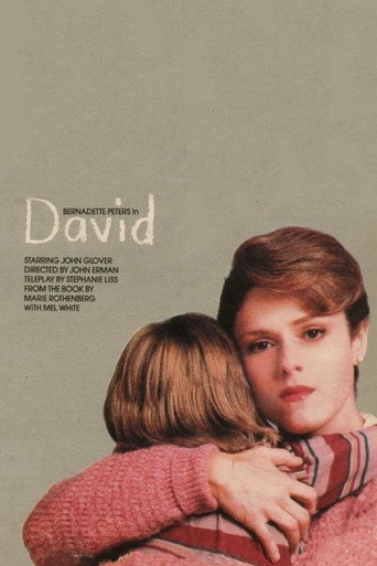 David movie poster