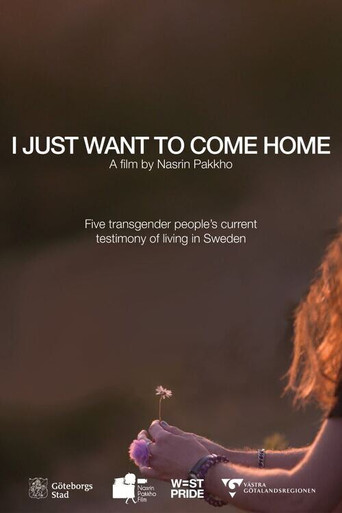 I Just Want to Come Home movie poster