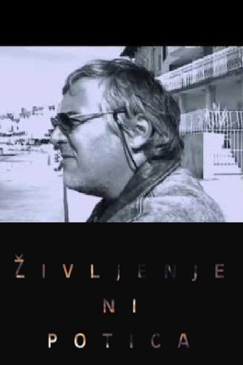 Zoran Predin - Life Is Not a Nut Roll movie poster