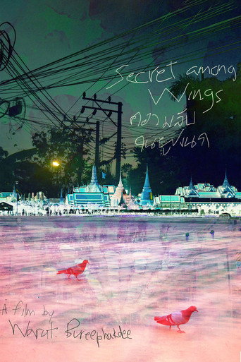 Secret among Wings movie poster
