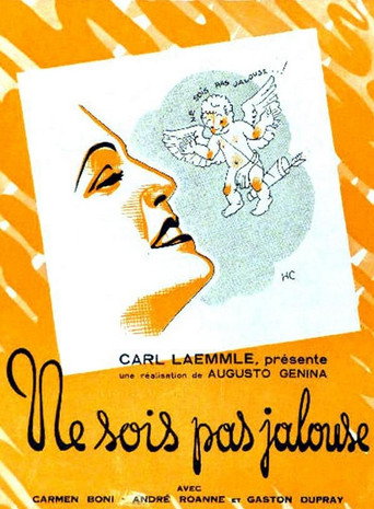 Ne sois pas jalouse movie poster