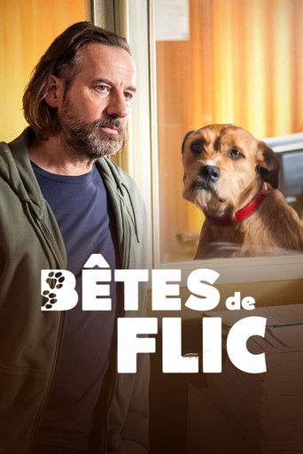 Bêtes de flic movie poster