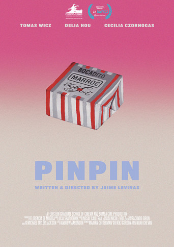 PINPIN movie poster