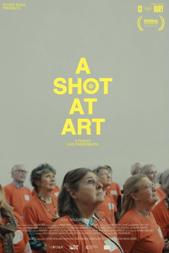A Shot at Art movie poster