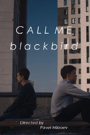 Call Me Blackbird movie poster