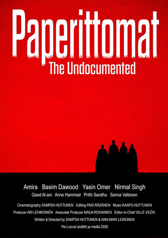 The Undocumented movie poster