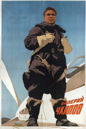Wings of Victory movie poster