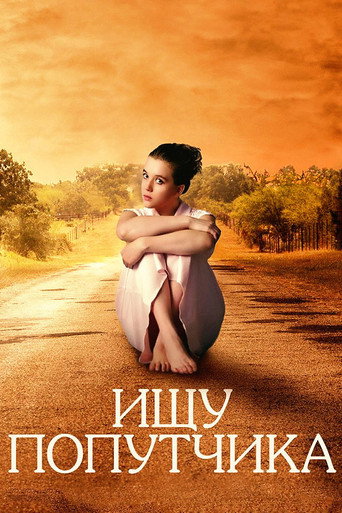 Looking for a Travel Companion movie poster