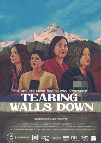 Tearing Walls Down movie poster
