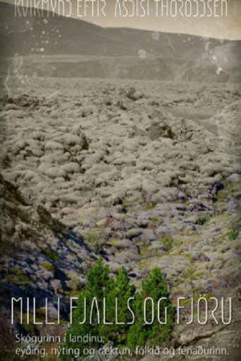 Woods Grew Here Once movie poster