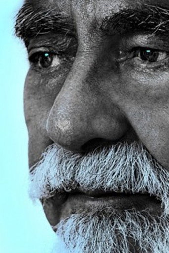 Expropriation movie poster