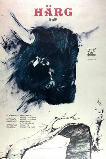 Bull movie poster