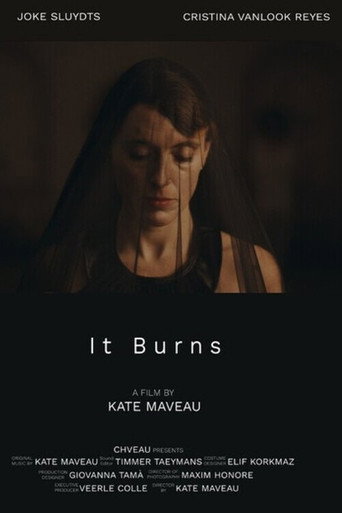 It Burns movie poster