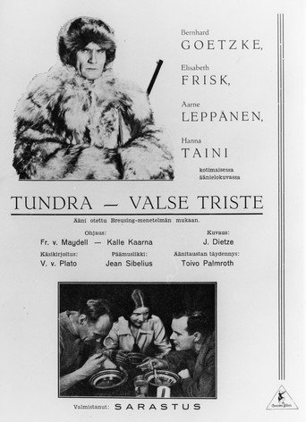 Erämaan turvissa movie poster