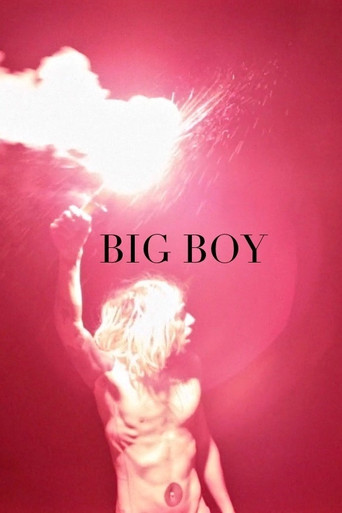 Big Boy movie poster