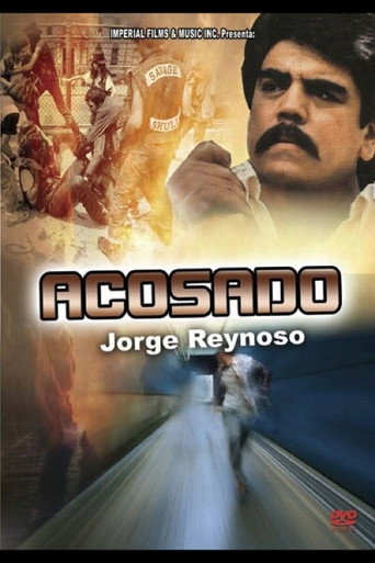 Acosado movie poster