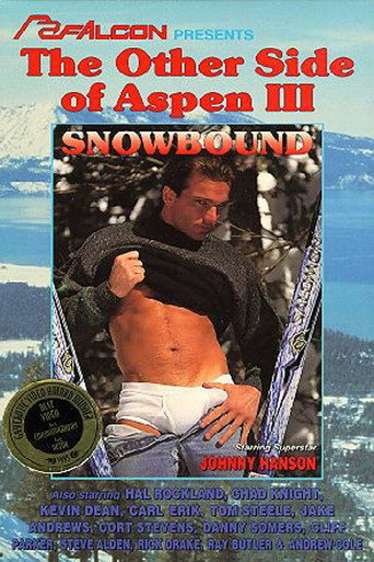 The Other Side Of Aspen III: Snowbound movie poster