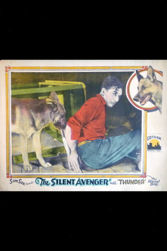 The Silent Avenger movie poster