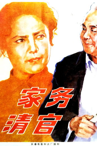 家务清官 movie poster