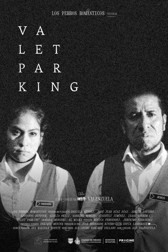 Valet parking movie poster