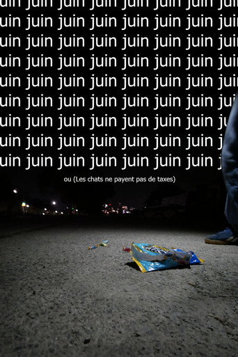 Juin ou  (Les chats ne payent pas de taxes) movie poster