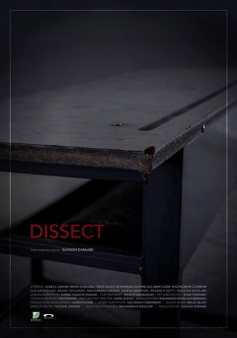 Dissect movie poster