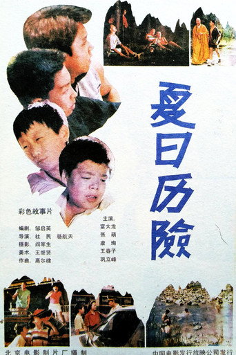 夏日历险 movie poster