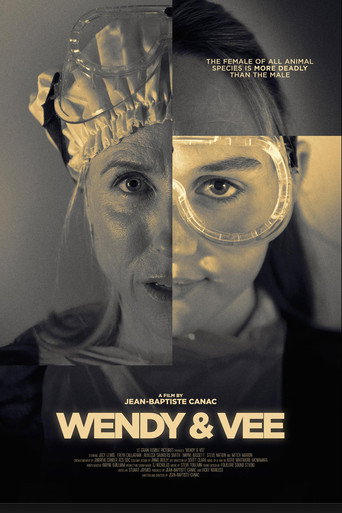 Wendy and Vee movie poster