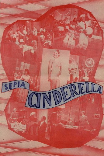 Sepia Cinderella movie poster