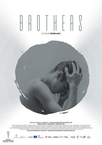 Brothers movie poster