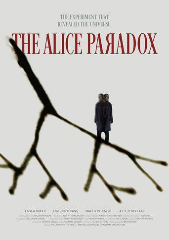 The Alice Paradox movie poster