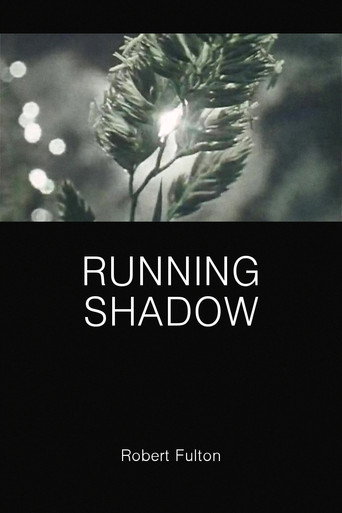 Running Shadow I movie poster