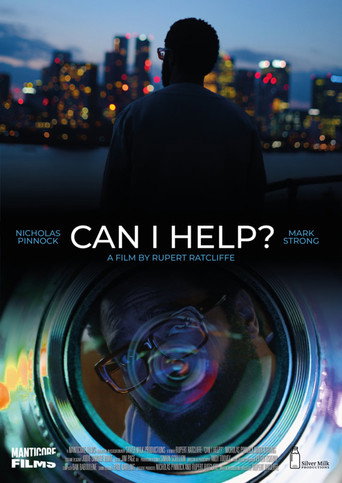 Can I Help? movie poster