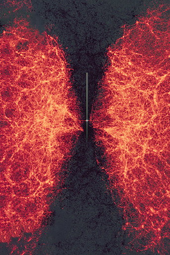 data-verse 1 movie poster