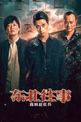 东北往事之我叫赵红兵 movie poster