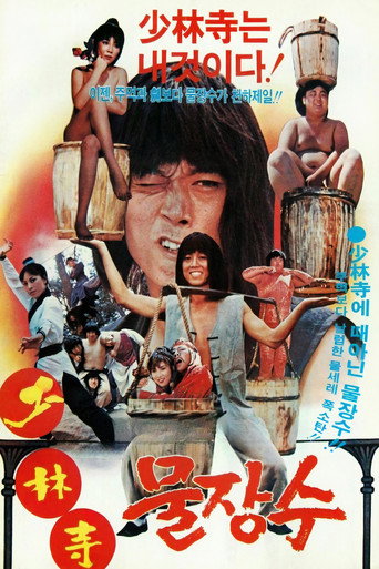 Shaolin Water Seller movie poster