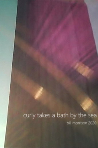 Curly Takes a Bath by the Sea movie poster