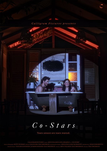 Co-Stars movie poster