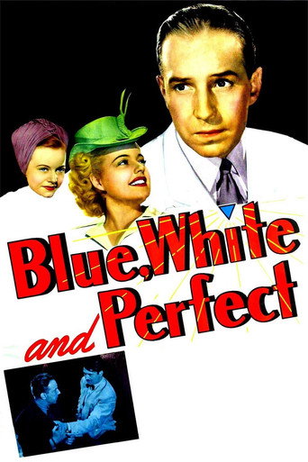 Blue, White and Perfect movie poster