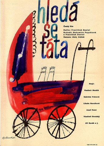 Hledá se táta! movie poster