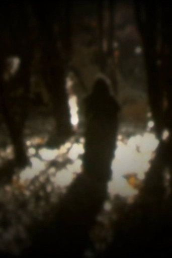 O senso dos desatinados movie poster