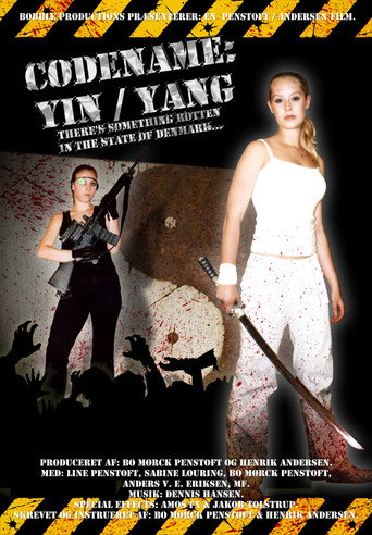 Codename: Yin/Yang movie poster