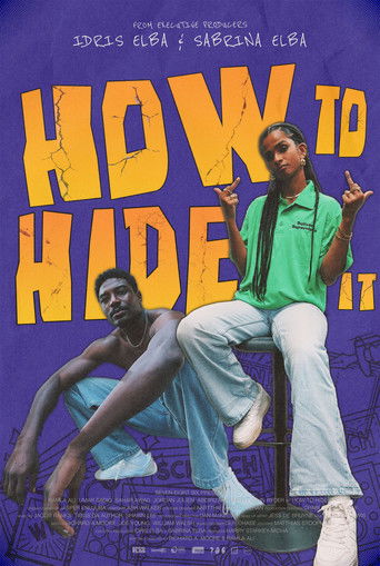 How To Hide It movie poster