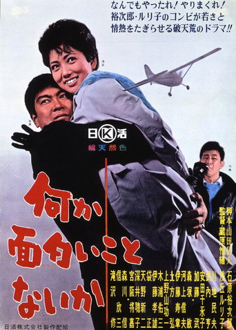 I Fly for Kicks movie poster