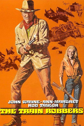 The Train Robbers movie poster