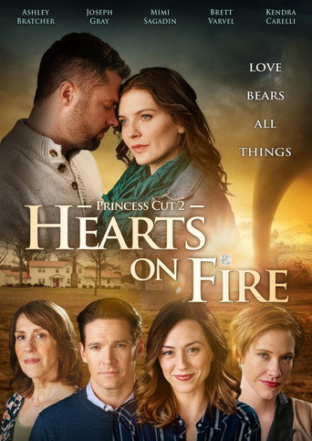 Princess Cut 2: Hearts on Fire movie poster