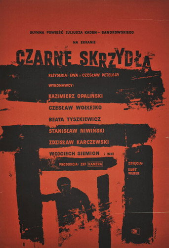 Czarne skrzydła movie poster