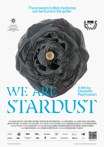 We are Stardust movie poster