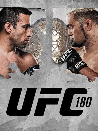 UFC 180: Werdum vs. Hunt movie poster